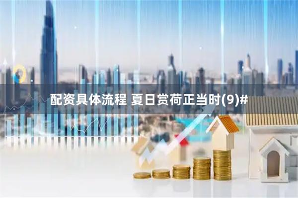 配资具体流程 夏日赏荷正当时(9)#