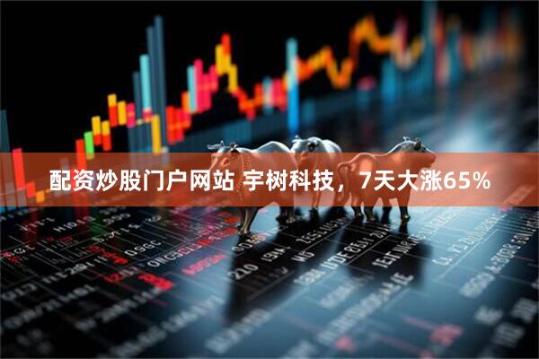 配资炒股门户网站 宇树科技，7天大涨65%